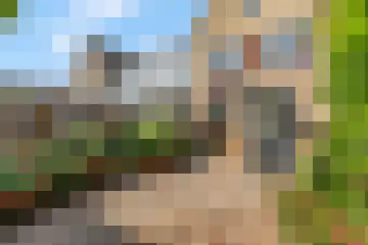 Rietdekkerslaan 54 Voorthuizen thumbnail 48