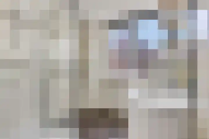 Rietdekkerslaan 54 Voorthuizen thumbnail 5