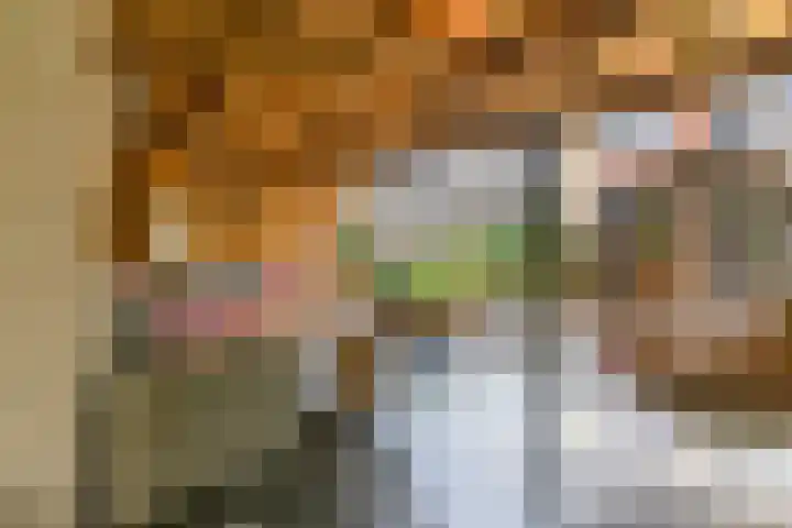 Rietdekkerslaan 54 Voorthuizen thumbnail 51