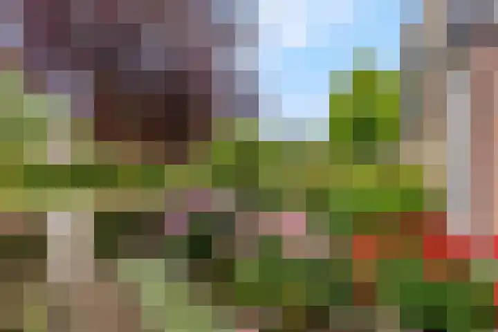Rietdekkerslaan 54 Voorthuizen thumbnail 53