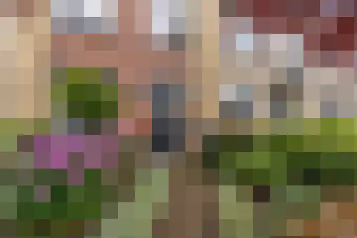 Rietdekkerslaan 54 Voorthuizen thumbnail 55