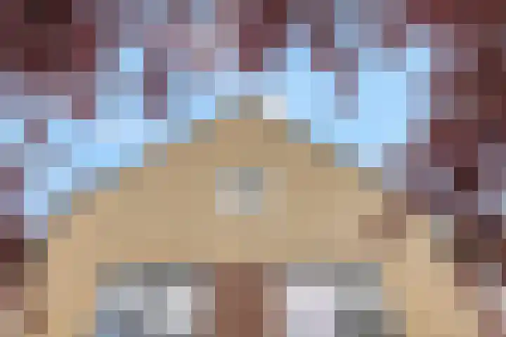 Rietdekkerslaan 54 Voorthuizen thumbnail 56