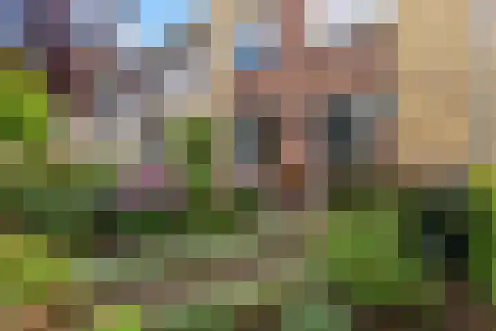 Rietdekkerslaan 54 Voorthuizen thumbnail 57
