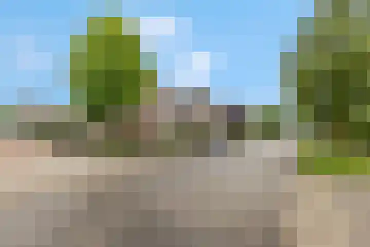 Rietdekkerslaan 54 Voorthuizen thumbnail 60