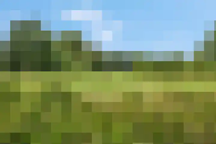 Rietdekkerslaan 54 Voorthuizen thumbnail 62