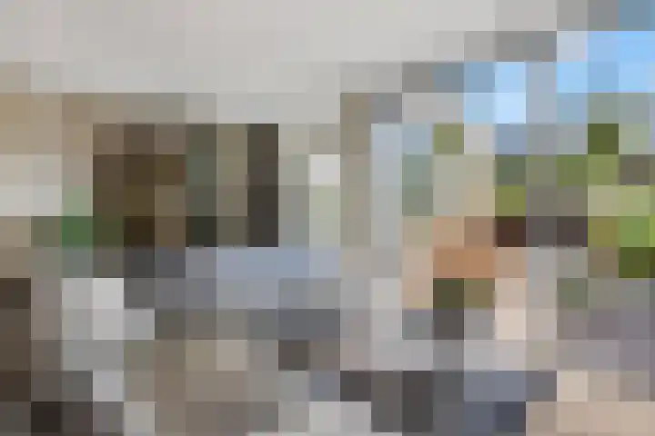 Rietdekkerslaan 54 Voorthuizen thumbnail 9