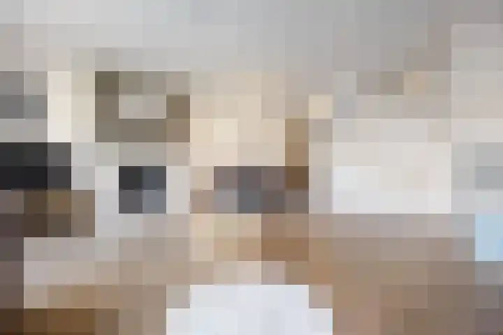 Rietdekkerslaan 56 Voorthuizen thumbnail 10
