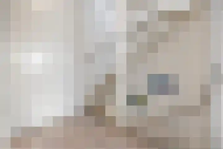Rietdekkerslaan 56 Voorthuizen thumbnail 15