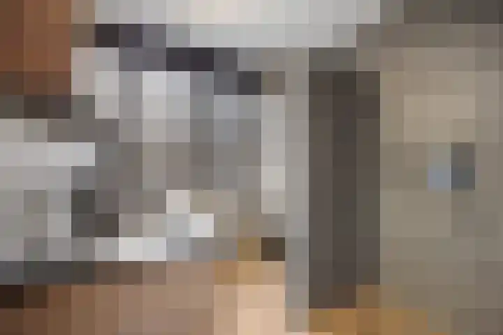 Rietdekkerslaan 56 Voorthuizen thumbnail 19