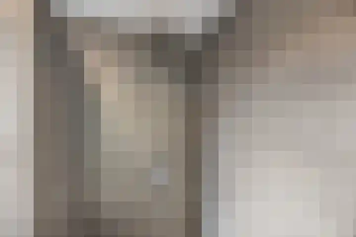 Rietdekkerslaan 56 Voorthuizen thumbnail 20