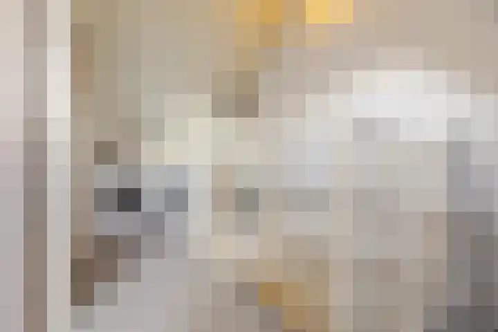 Rietdekkerslaan 56 Voorthuizen thumbnail 22