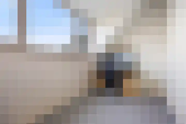 Rietdekkerslaan 56 Voorthuizen thumbnail 23