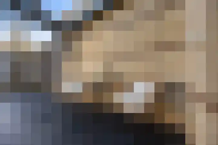 Rietdekkerslaan 56 Voorthuizen thumbnail 26