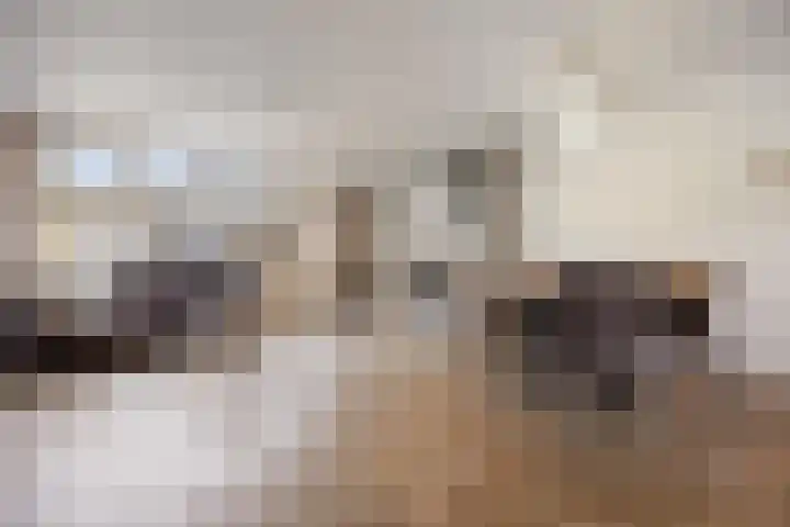 Rietdekkerslaan 56 Voorthuizen thumbnail 8