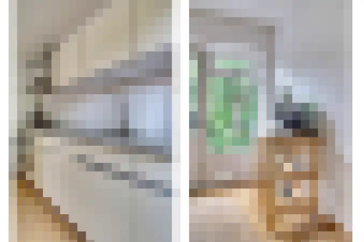 Rietdekkersstraat 6 Kerkdriel thumbnail 10