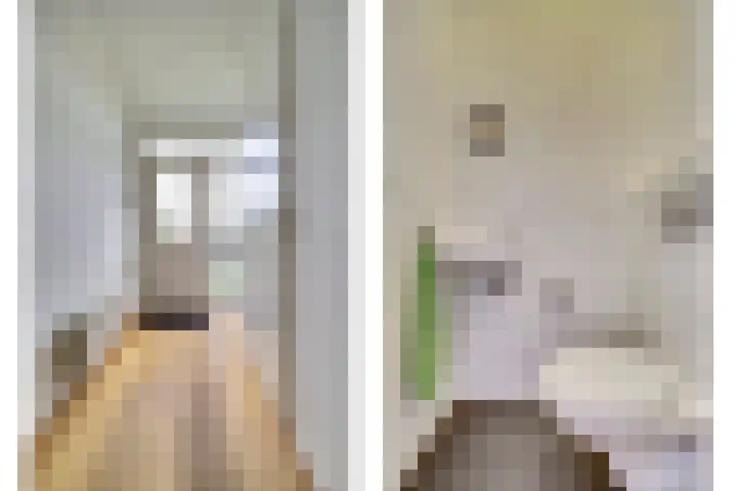 Rietdekkersstraat 6 Kerkdriel thumbnail 12