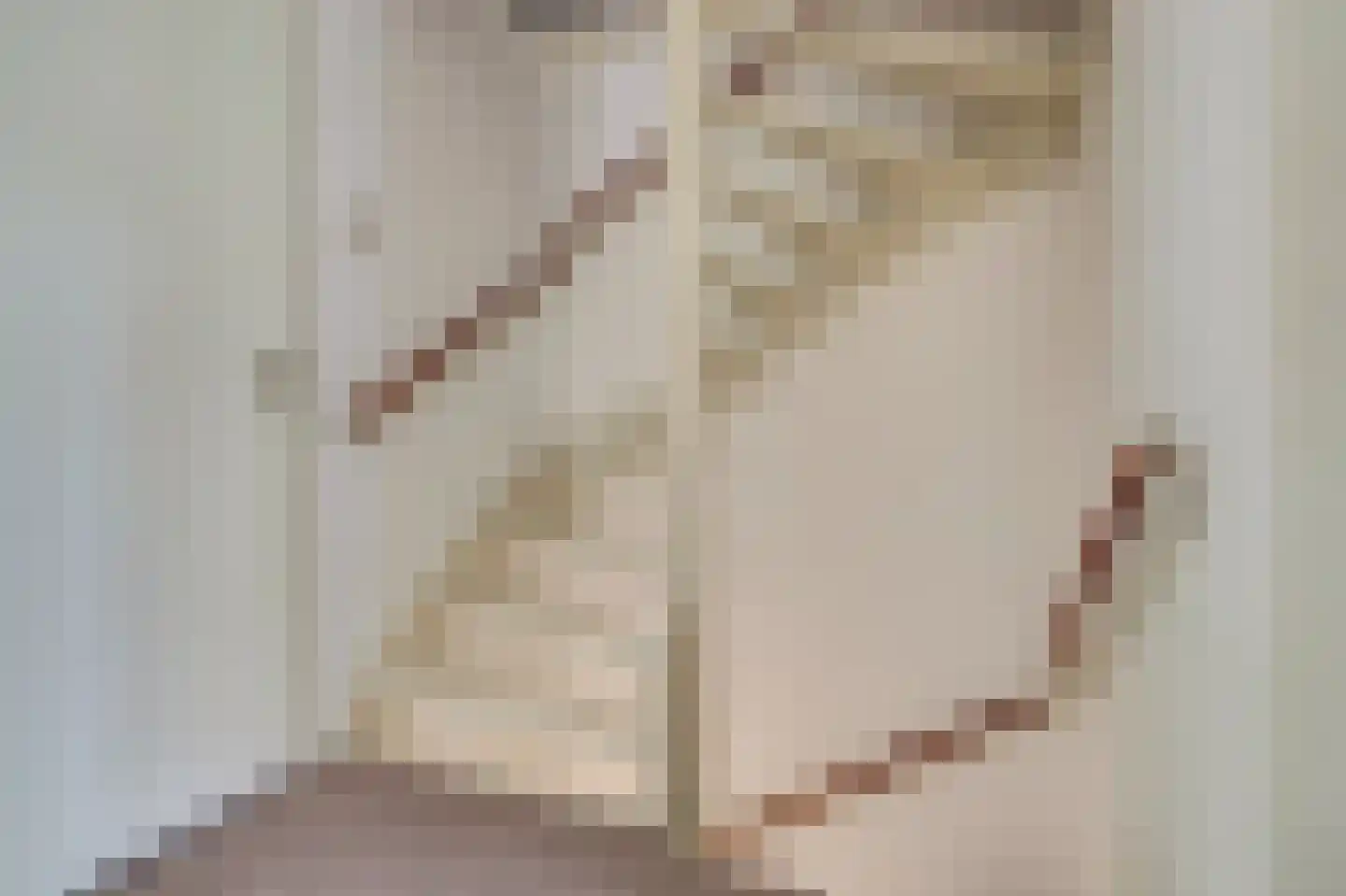 Rietdekkersstraat 6 Kerkdriel thumbnail 13