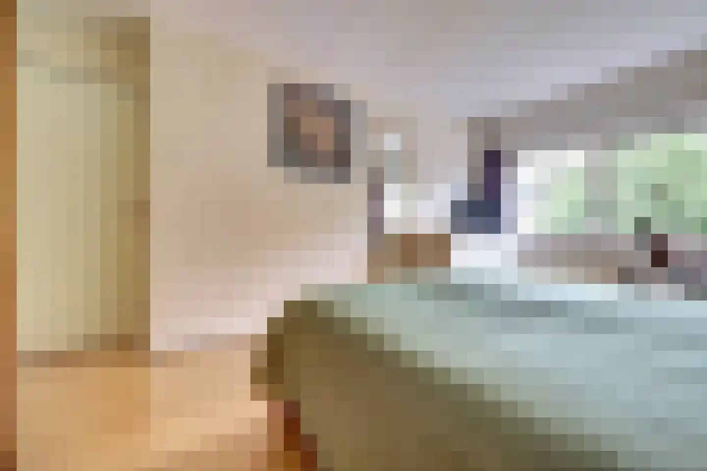 Rietdekkersstraat 6 Kerkdriel thumbnail 14