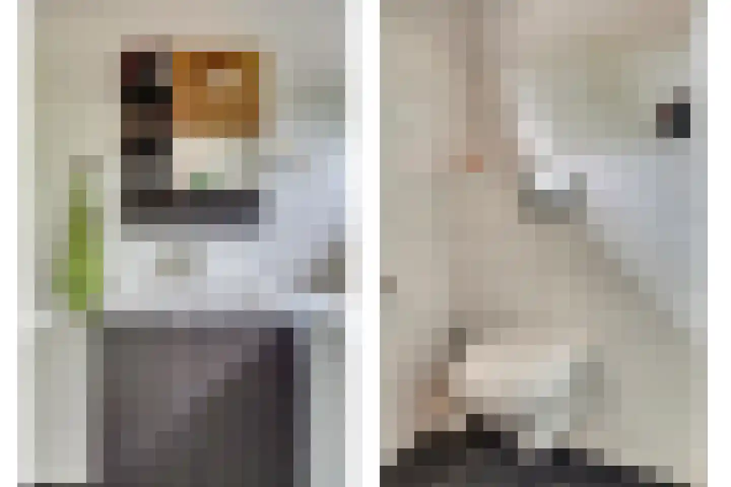 Rietdekkersstraat 6 Kerkdriel thumbnail 21