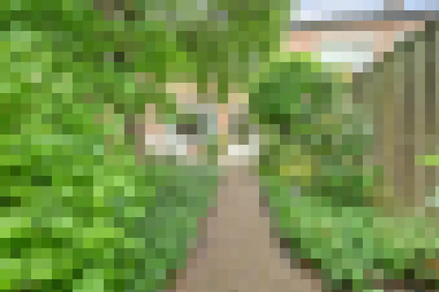 Rietdekkersstraat 6 Kerkdriel thumbnail 24