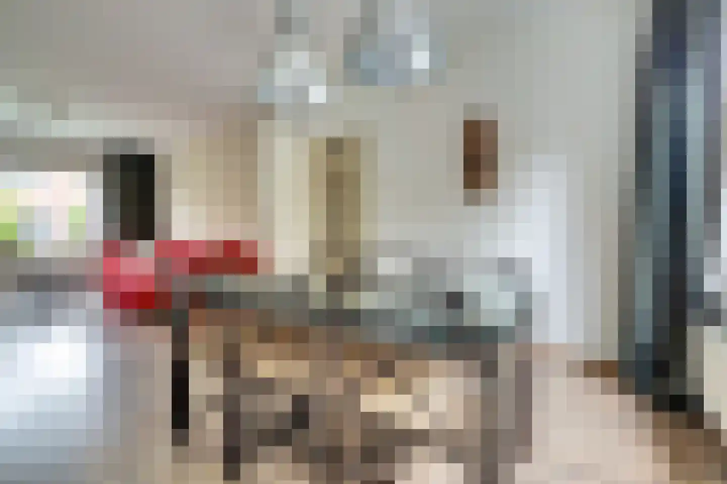 Rietdekkersstraat 6 Kerkdriel thumbnail 4