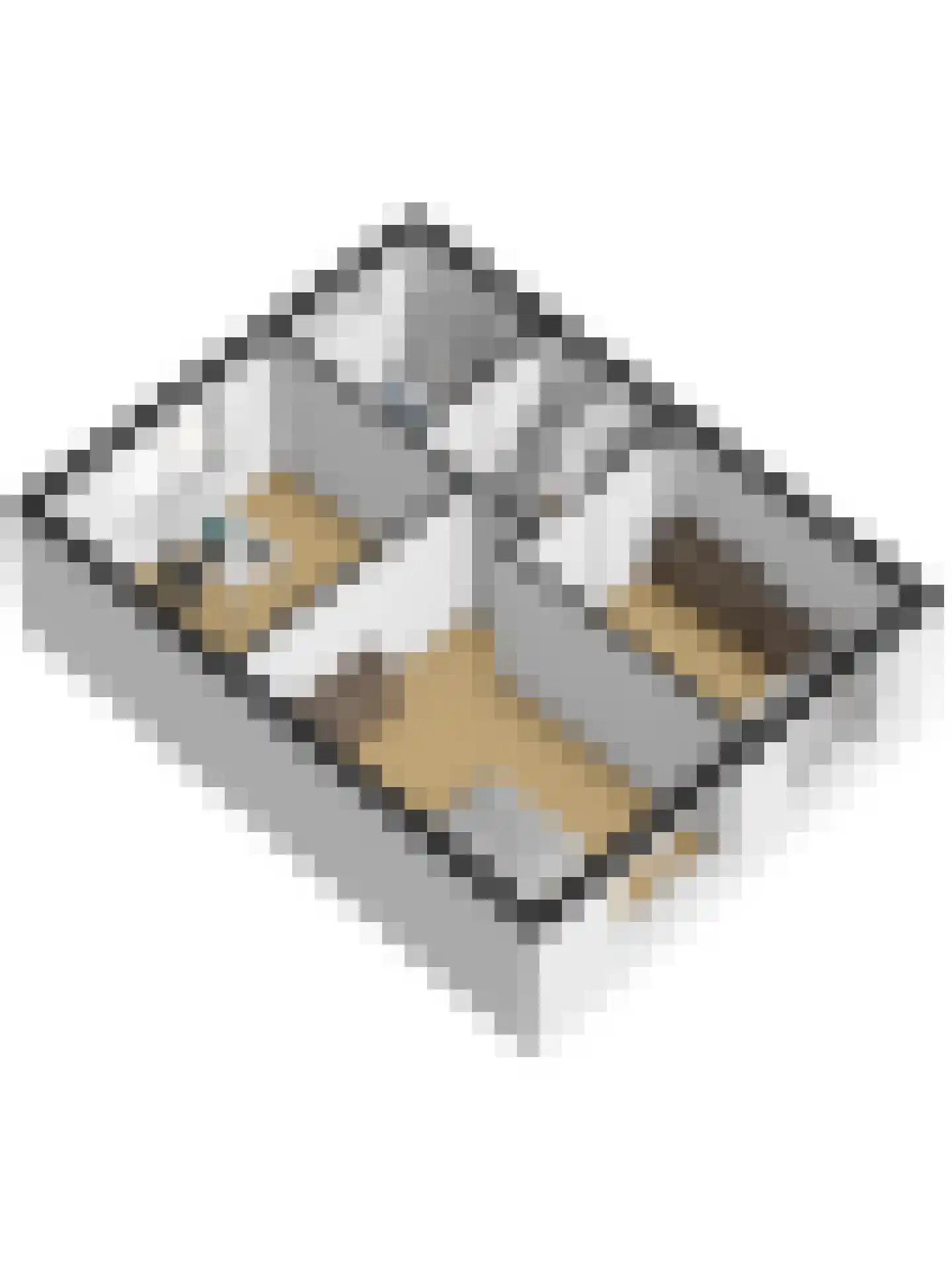 Rietdekkersstraat 6 Kerkdriel thumbnail 40