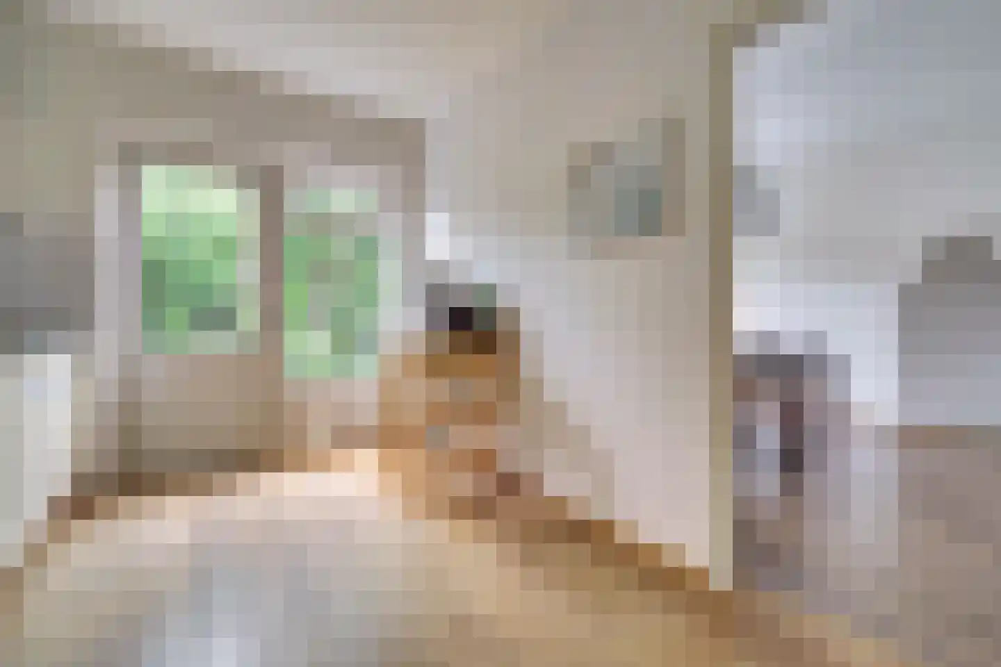 Rietdekkersstraat 6 Kerkdriel thumbnail 9