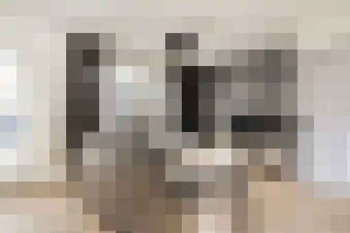 Rietdekkerstraat 21 Well L thumbnail 10
