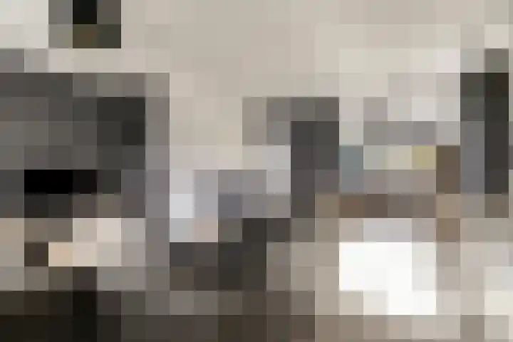 Rietdekkerstraat 21 Well L thumbnail 12