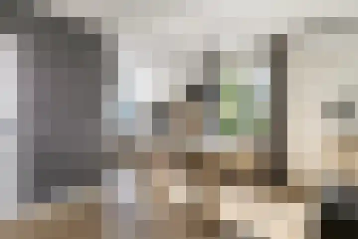 Rietdekkerstraat 21 Well L thumbnail 13