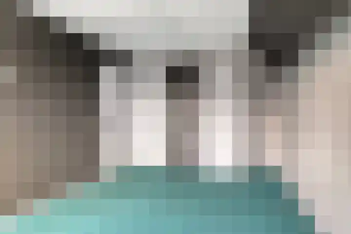 Rietdekkerstraat 21 Well L thumbnail 19