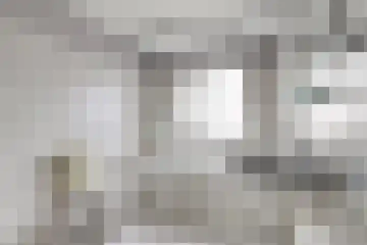 Rietdekkerstraat 21 Well L thumbnail 22