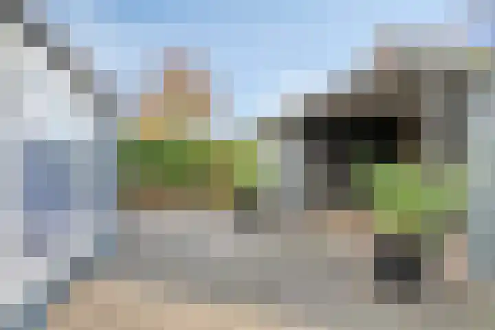 Rietdekkerstraat 21 Well L thumbnail 31