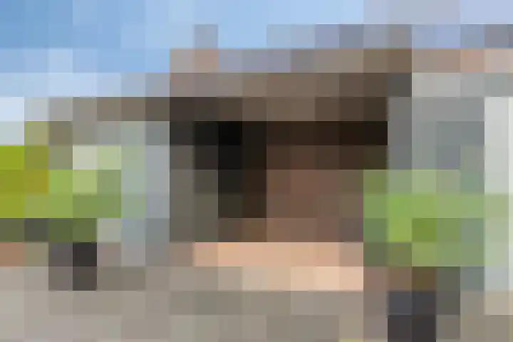 Rietdekkerstraat 21 Well L thumbnail 32