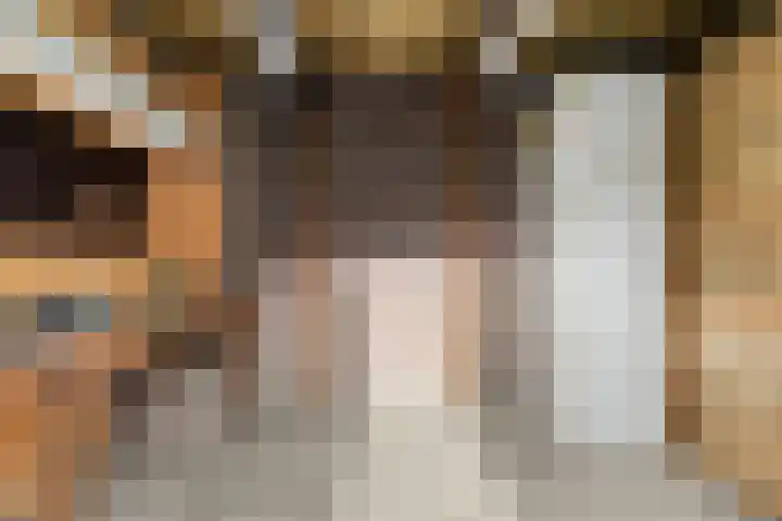 Rietdekkerstraat 21 Well L thumbnail 33