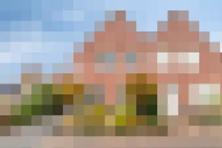 Rietdekkerstraat 21 Well L thumbnail 34