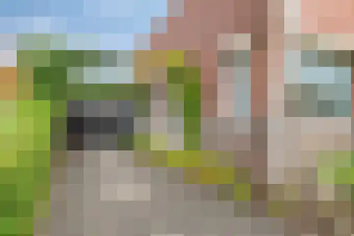 Rietdekkerstraat 21 Well L thumbnail 35