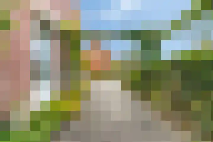 Rietdekkerstraat 21 Well L thumbnail 36