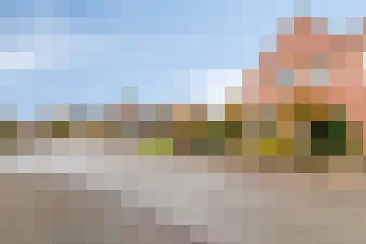 Rietdekkerstraat 21 Well L thumbnail 37