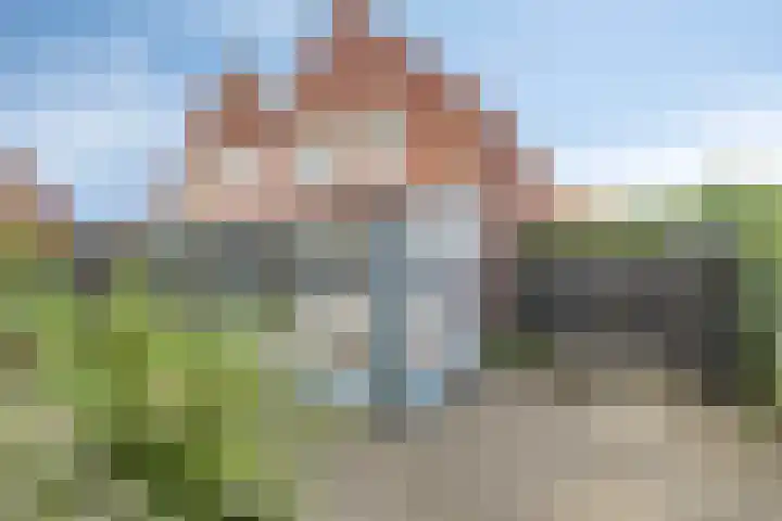 Rietdekkerstraat 21 Well L thumbnail 5