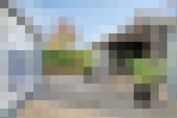 Rietdekkerstraat 21 Well L thumbnail 6
