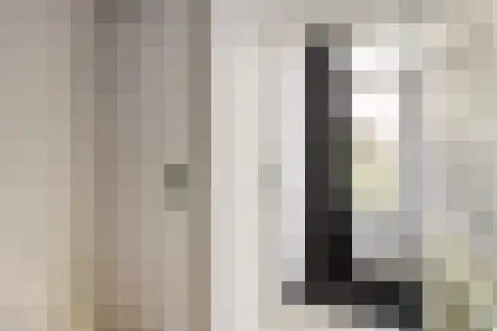Rietdekkerstraat 21 Well L thumbnail 7