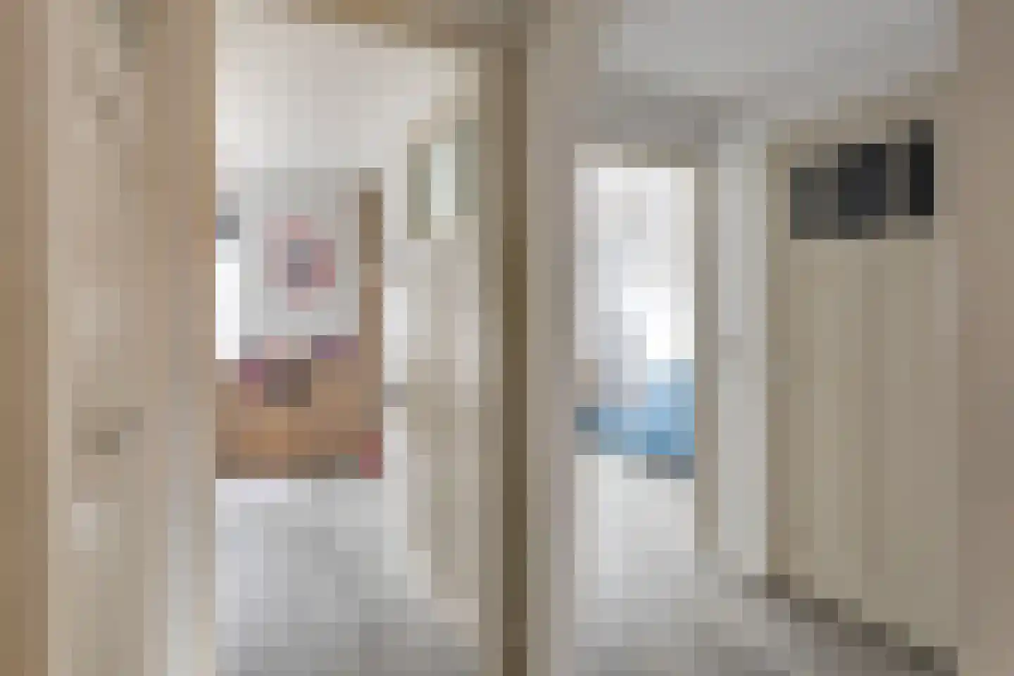 Rietdekkerstraat 54 Purmerend thumbnail 15