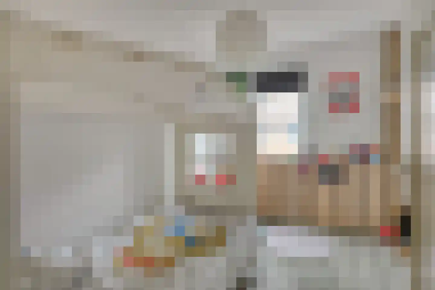 Rietdekkerstraat 54 Purmerend thumbnail 18