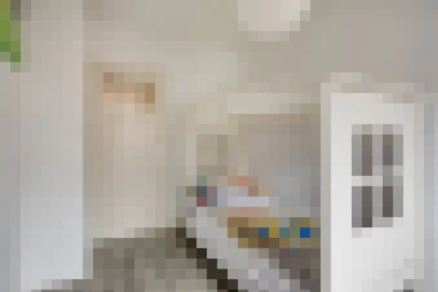 Rietdekkerstraat 54 Purmerend thumbnail 19