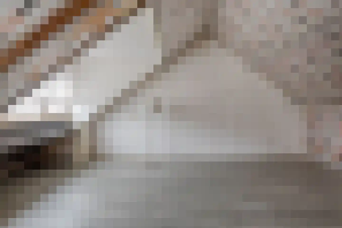 Rietdekkerstraat 54 Purmerend thumbnail 23