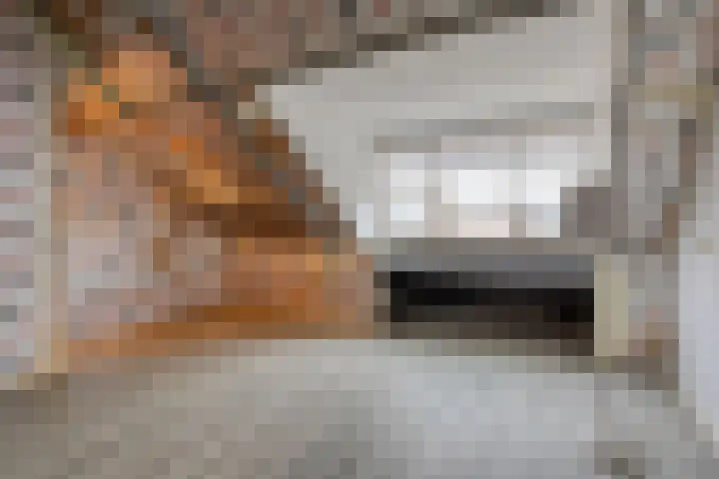 Rietdekkerstraat 54 Purmerend thumbnail 24