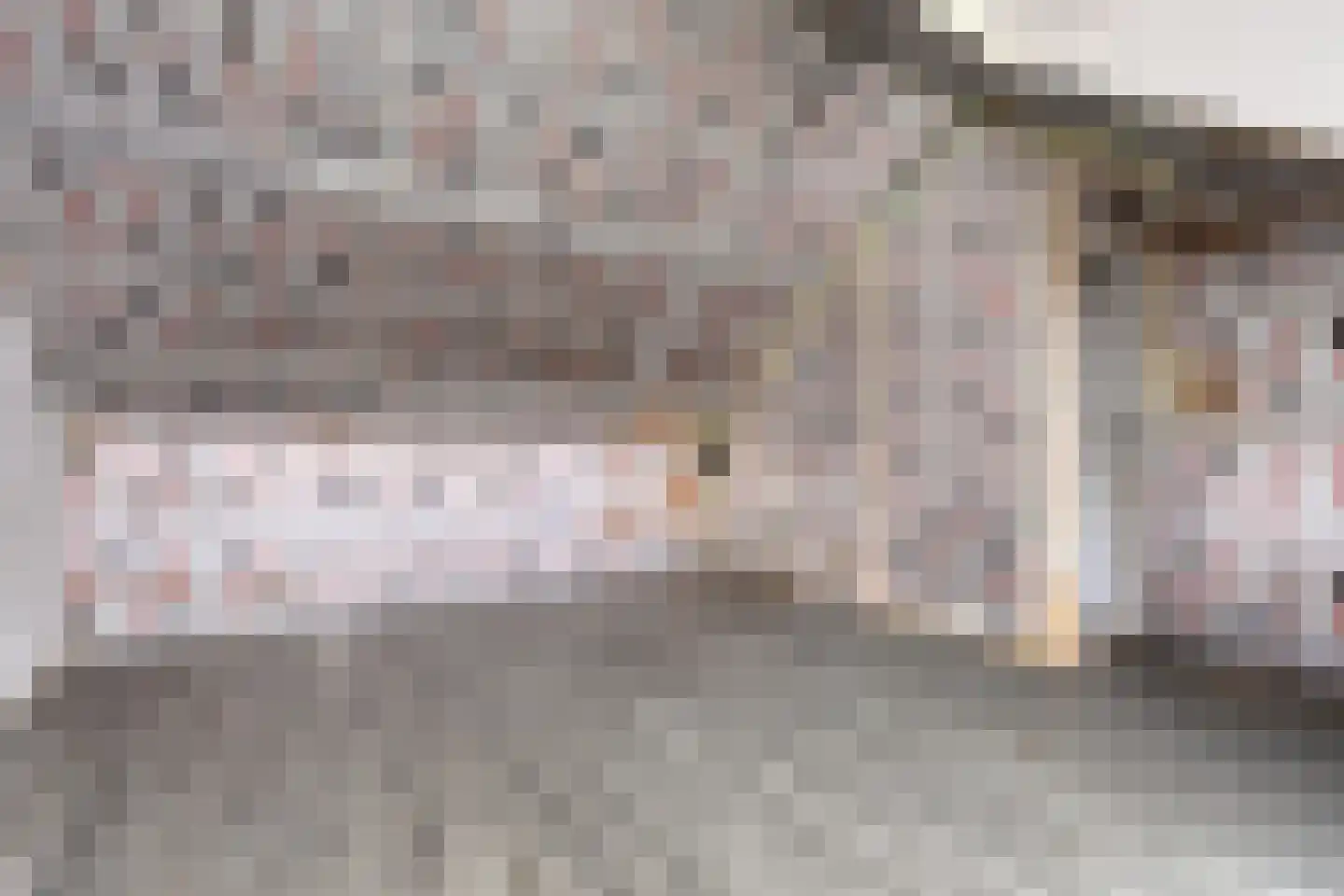 Rietdekkerstraat 54 Purmerend thumbnail 25