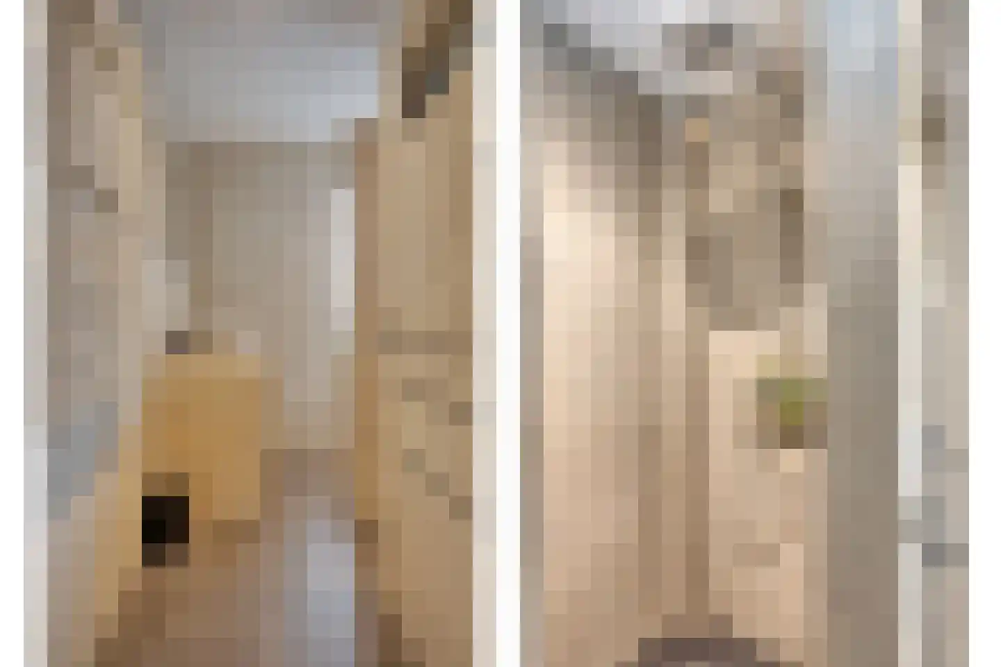 Rietdekkerstraat 54 Purmerend thumbnail 5