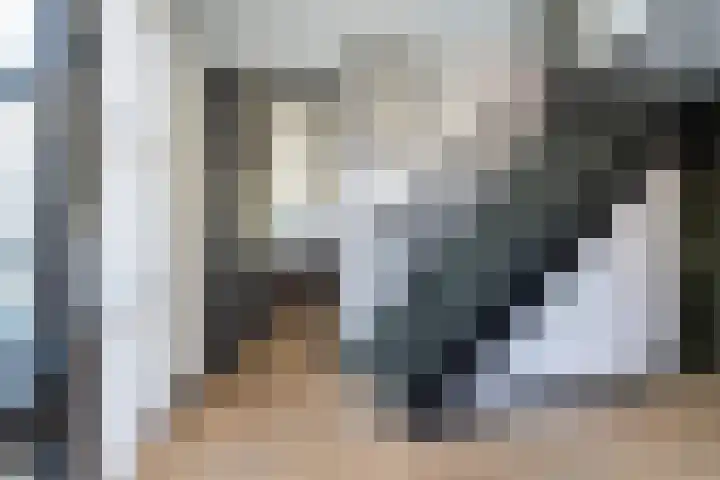 Rietdekkersweg 1 A Wezep thumbnail 11